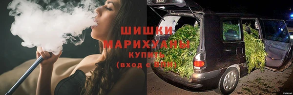 гидра Бородино