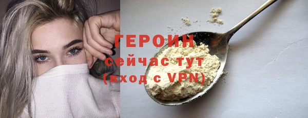 гидра Бородино