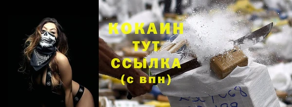 гидра Бородино