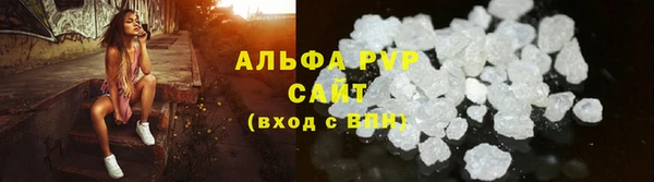 гидра Бородино