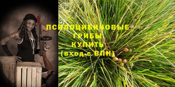 гидра Бородино