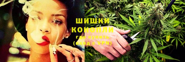 гашик Бронницы