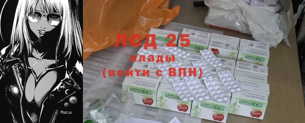 гидра Бородино