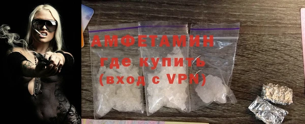 гидра Бородино