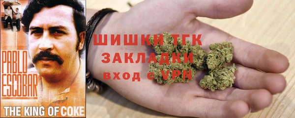 гашик Бронницы