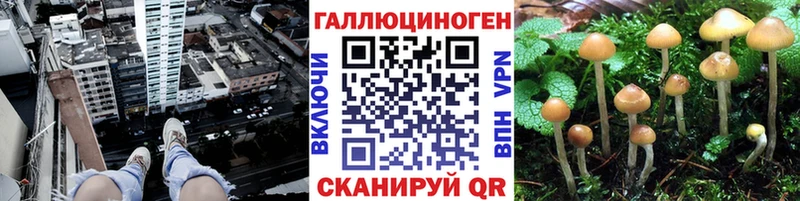 Галлюциногенные грибы мицелий  хочу наркоту  Горячий Ключ 